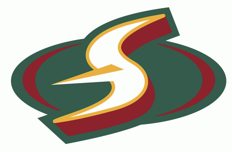 Seattle Storm 2000-Pres Alternate Logo iron on heat transfer